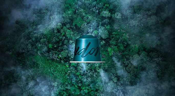 Indonesia - Fairtrade — 10 Capsules — Indonesia - Fairtrade — 10 Capsules Q7