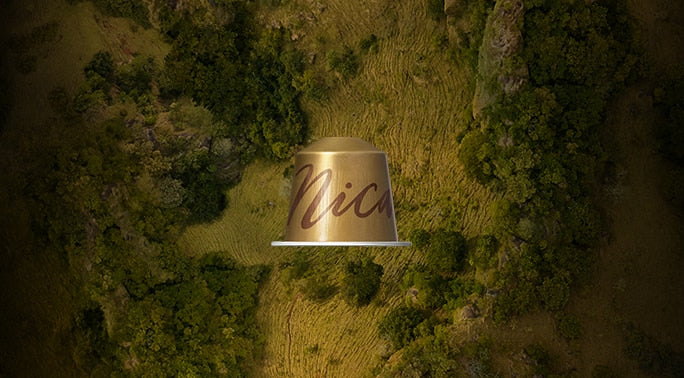 Nicaragua — 10 Capsules — Nicaragua — 10 Capsules U0