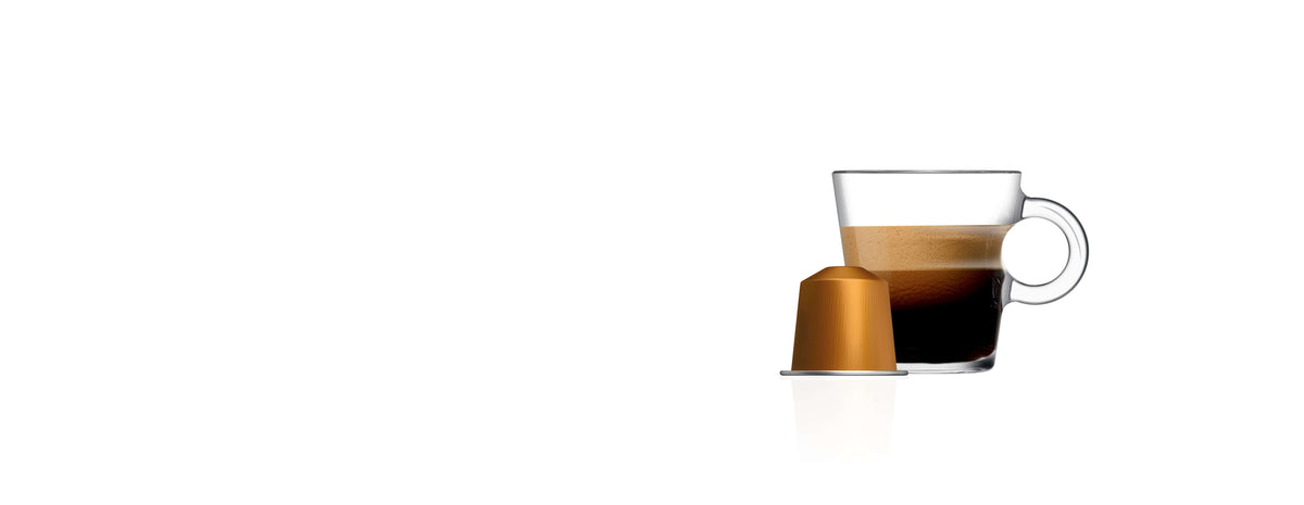 Livanto  — 10 Capsules — Livanto  — 10 Capsules E6